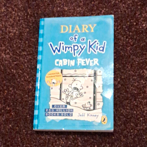 Diary wimpy kid cabin - wimpy,